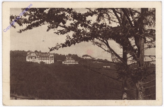 Hochegg, Heilanstalt