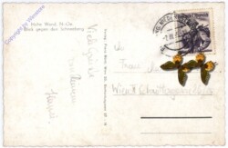 Hohe Wand, Blick gegen den Schneeberg