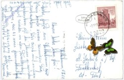 Hollabrunn, Multiansicht