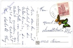 Kienegg, gegen Rax und Schneeberg