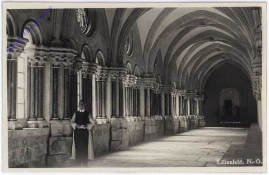 Lilienfeld, Ansicht