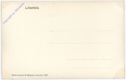 Lilienfeld, Ansicht