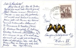 ak179221a Ötscher, Schmelz