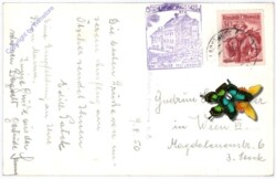 Ötscher, Ötscherhaus