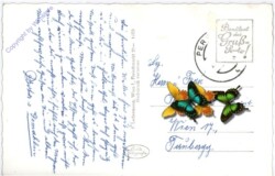 Pernitz, Ortsansicht