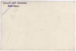 Petronell-Carnuntum, Museum