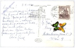 Petronell-Carnuntum, Amphitheater