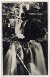 Puchenstuben, Trefflingfall