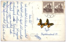 Schneedörfl, Ansicht