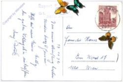 St. Peter am Wechsel, Ansicht