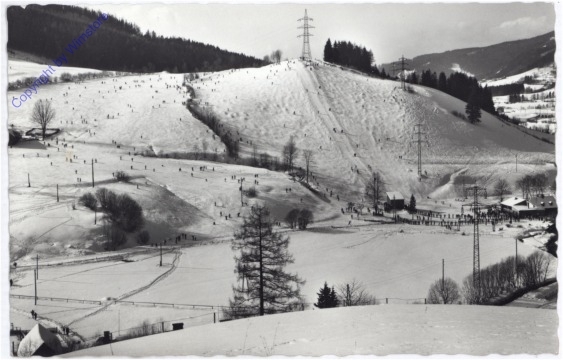 Steinegg am Kamp, Ansicht
