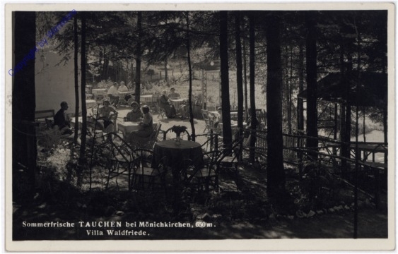 Tauchen bei Mönichkirchen, Villa Waldfriede