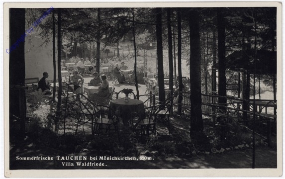 Tauchen bei Mönichkirchen, Villa Waldfriede