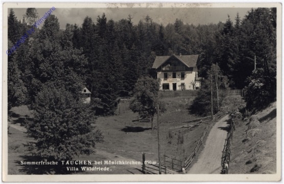 Tauchen bei Mönichkirchen, Villa Waldfriede