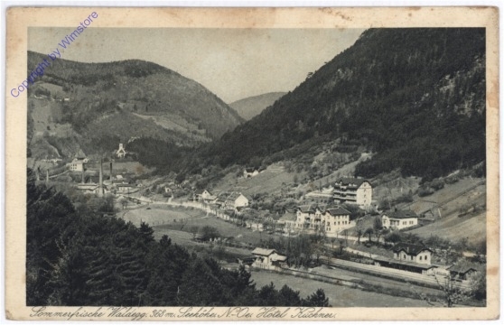 ak179548 Waldegg, Hotel Kuchner