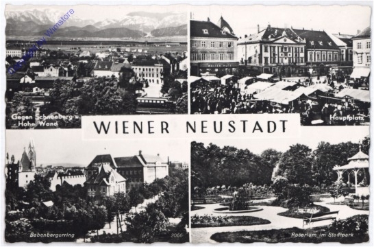 ak179565 Wiener Neustadt, Multiansicht