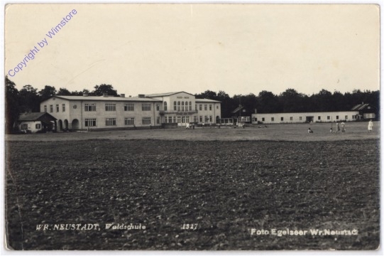ak179568 Wiener Neustadt, Waldschule
