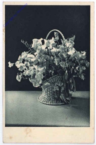 Korb mit Blumen