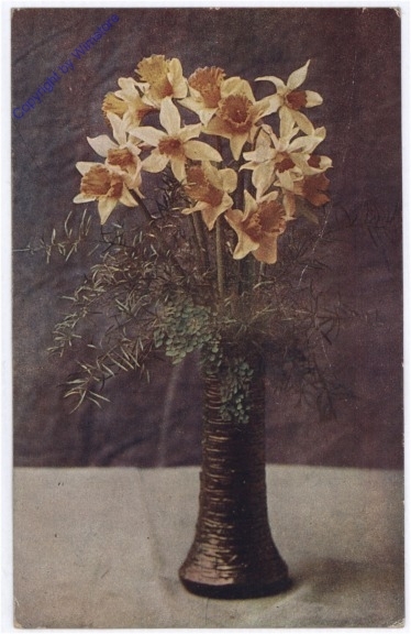 Narzissen in Vase