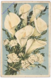 ak179638 Calla mit Nelken, Strauß