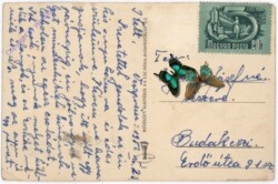 ak179638a Calla mit Nelken, Strauß