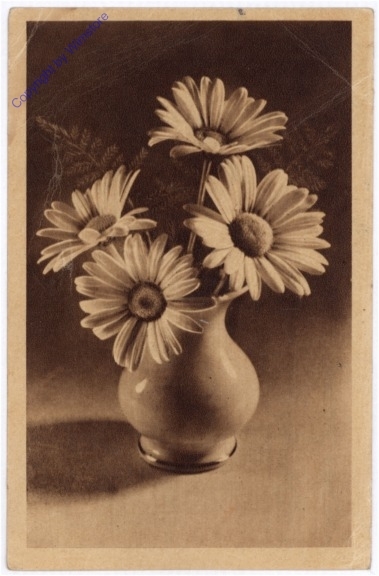 Margeriten in kleiner Vase