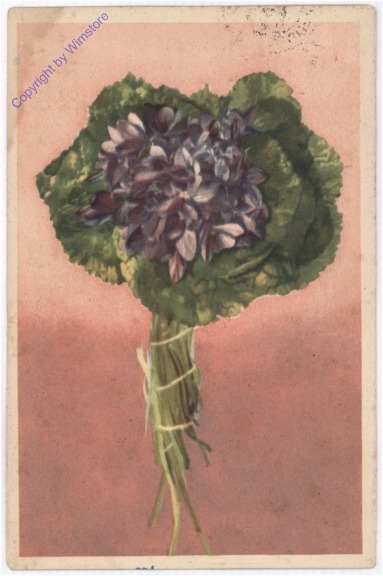Veilchen
