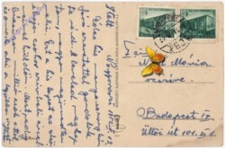 Veilchen