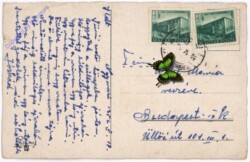 ak179647a Alpenveilchen