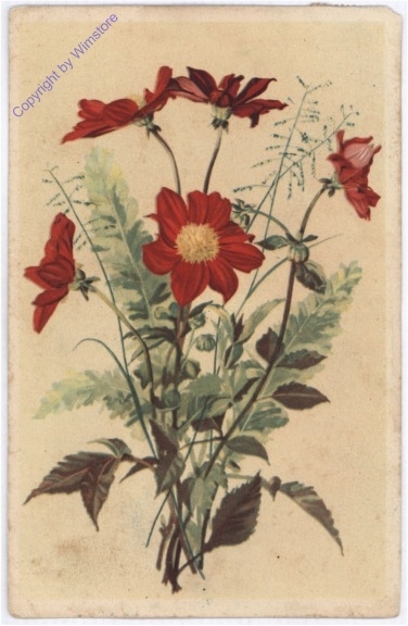 Blumenstrauß