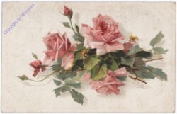 Rosen