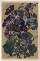 Blumen