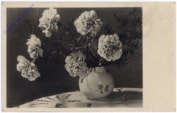 Nelken in Vase