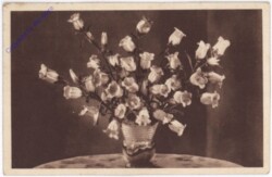 Glockenblumen