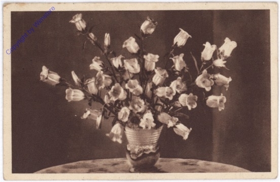 Glockenblumen