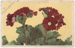 Blumen