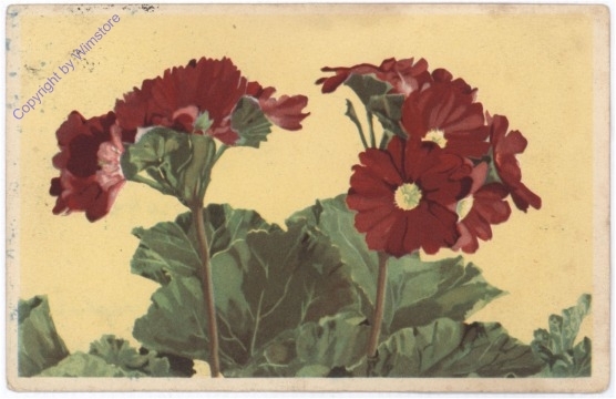Blumen