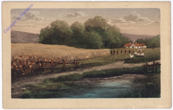 Gänse