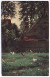 Hühner