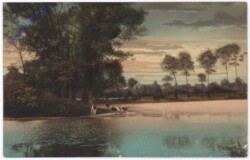 ak179692 Kühe am Flussufer