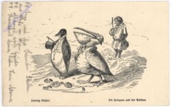 Die Fettgans und der Pelikan