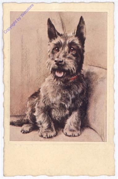 Hund auf Bank