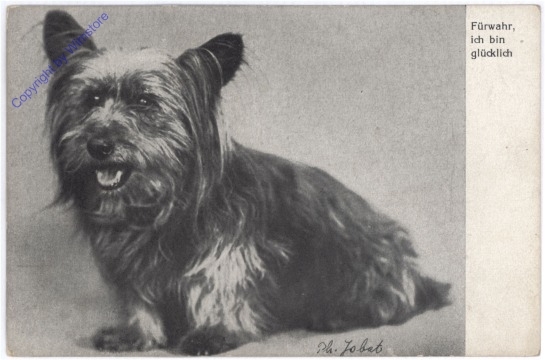 Hundeportrait, Vers