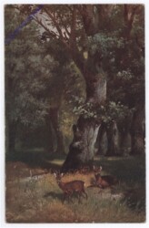 Rehe auf einer Lichtung