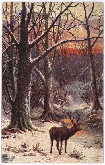 Hirsch im verschneiten Wald