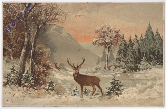 Hirsch im verschneiten Wald