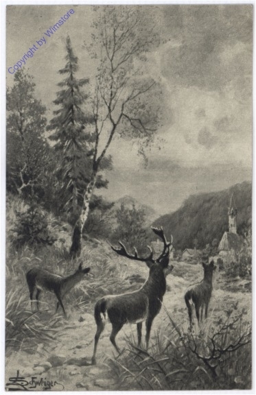 Hirsch mit Rehen