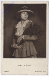 Harf Stella