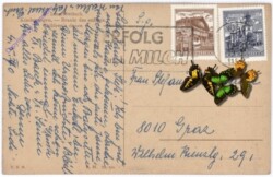 Ismailowitsch W.: Kinderreigen