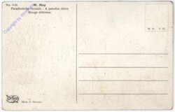 Hoy W.: Paradiesische Gestade